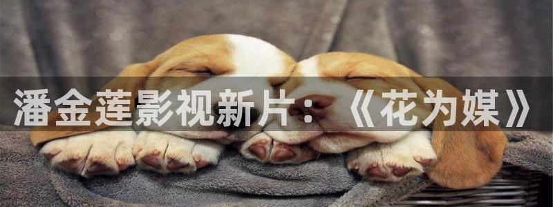 金牌女王电影免费完整版：潘金莲影视新片：《花为媒》