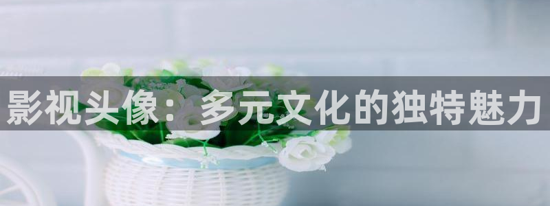 金牌影院网址：影视头像：多元文化的独特魅力