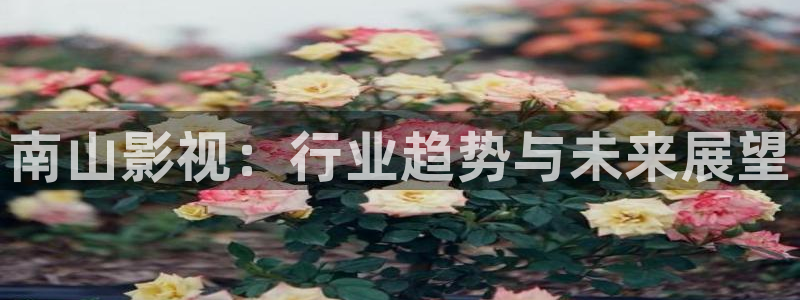 花儿与少年第五季金牌影院：南山影视：行业趋势与未来展望
