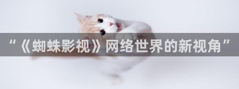 金牌荣耀韩国电影：“《蜘蛛影视》网络世界的新视角”