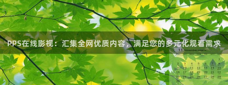 金牌电影在线播放免费视频：PPS在线影视：汇集全网优质内容，满足您的多元化观看需求