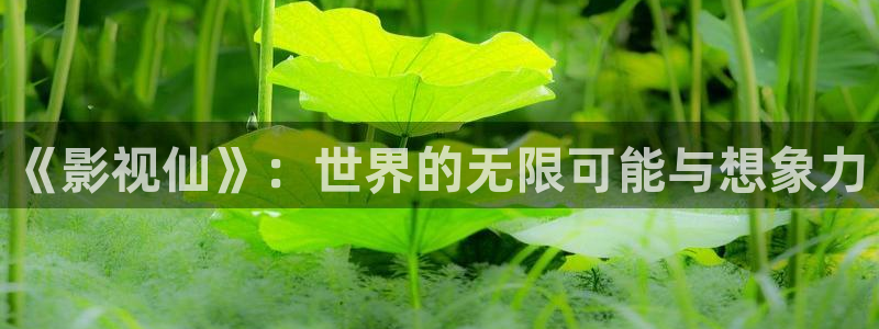 金牌影院：《影视仙》：世界的无限可能与想象力