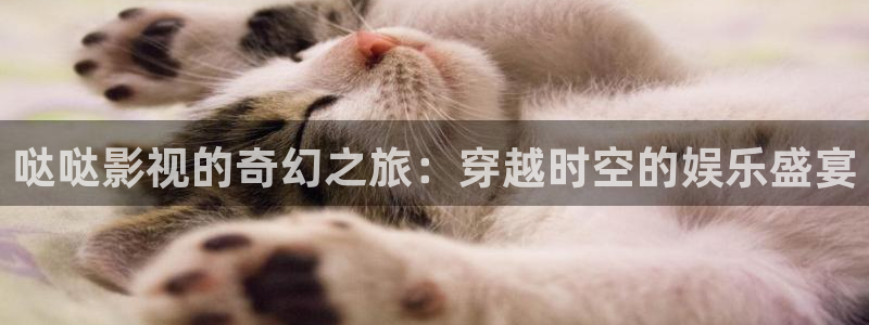 金牌销售电影免费观看全集高清：哒哒影视的奇幻之旅：穿越时空的娱乐盛宴